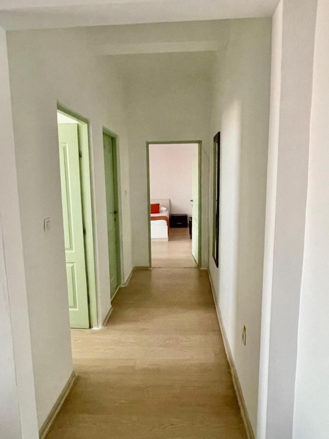 Hostel Cazino Nord Rooms مامايا المظهر الخارجي الصورة